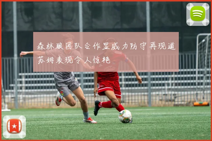 森林狼团队合作显威力防守再现道苏姆表现令人惊艳