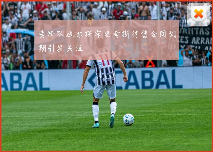 黄蜂队迈尔斯布里奇斯待售合同到期引发关注
