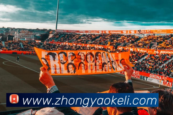 星空体育官网发展历程